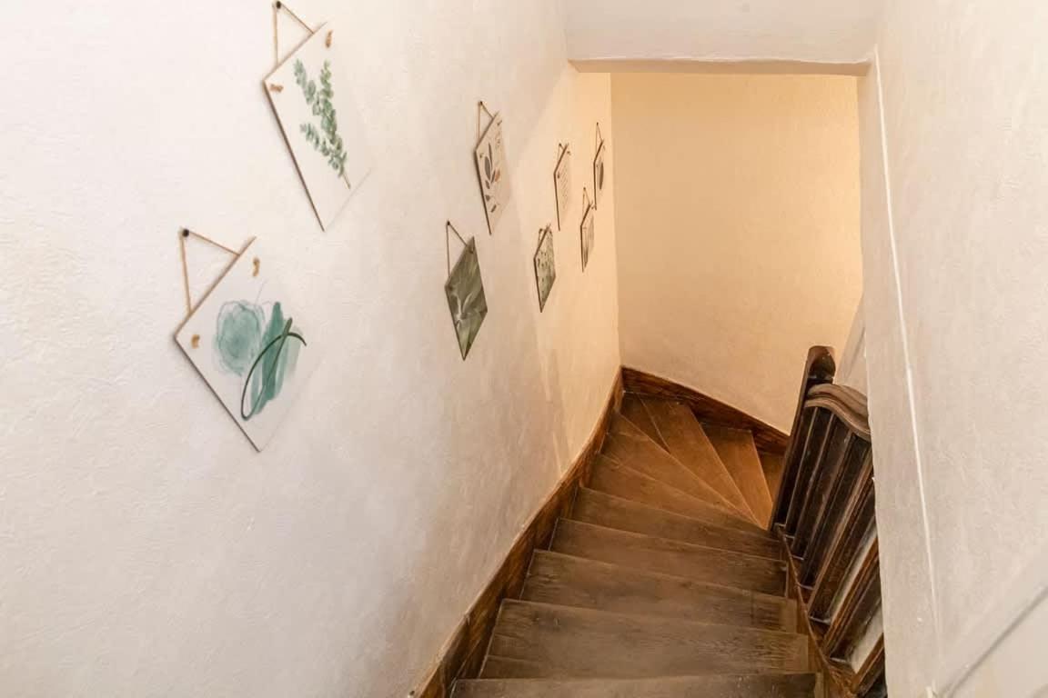 Coquelin - Joli Appartement Renove レンヌ エクステリア 写真